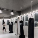 플렉스 복싱 킥복싱 이미지