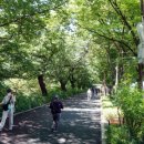 중랑천 산책로 이미지