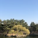 명동쫄면 이미지