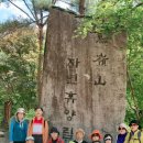 관문초등 이미지