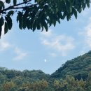 대전효문화진흥원 공중화장실 | 대전 가볼만한 곳? 뿌리공원 추천!