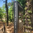 병점동 지석묘(고인돌) 이미지