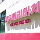 와우머치투어 | 대전 대흥동 케이크 맛집 카페 '땡큐베리머치' 솔직 포장 후기 및 메뉴 가격