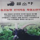 충남농원염소 이미지