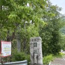 호명산캠프 | [가평] 계곡 옆 나무 그늘이 있는 계단식 데크 캠핑장, 호명산 캠프(N데크)