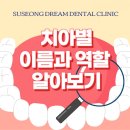 수성드림치과의원 이미지