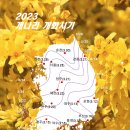 23년 봄꽃 개화 시기 정보 - 개나리 / 진달래 / 벚꽃 이미지