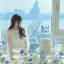 스튜디오배 이미지