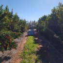 실상농장 이미지