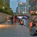 자연닮기약국 이미지