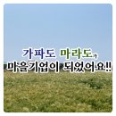 가파도마을협동조합 이미지