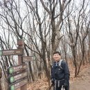 도마초등학교 Daum카페