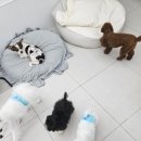 딥잉 산본점 이미지