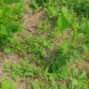 청양센터-003 이미지