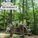 삼부자봉평메밀 | 8월의 휘게포레스트, 우중 여름 숲속 C존 솔직 후기