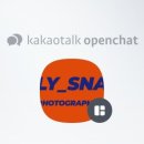 이유있는선택