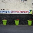 제주서초등학교 이미지