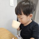 야곱농장 | 야곱의꿈농장 볶은 작두콩차 알레르기 비염에 좋은 겨울철 온가족 건강차