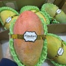 그린브릭스 Daum카페