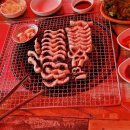 맛고을풍천장어 이미지