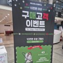 코리아펫 | 펫페어 크리스마스 서울 펫쇼 코리아 세텍 오픈런 후기 주차 샘플 꿀팁