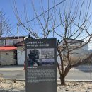 1월 속초여행 아바이순대마을 속초해수욕장 속초아이 대관람차 후기