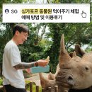 싱가포르 동물원 먹이주기 체험 예매 방법 및 이용후기_코끼리와 흰코뿔소💚