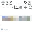 ........................................ 이미지