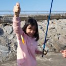 욜로인 게스트 하우스 이미지