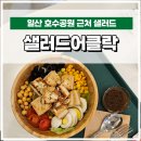 샐러드어클락 이미지