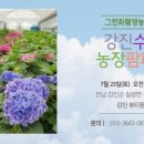 🌼 강진 뷰티팜 팜파티 🌼 이미지