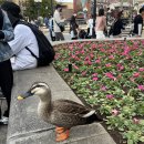 인어공원 화장실 이미지