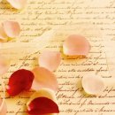 조은 느낌 이미지