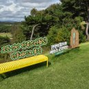 레이크 스크린골프 | 안동 레이크 gc _ 공 100개 챙겨온 동반자와 해피 라운딩 후기