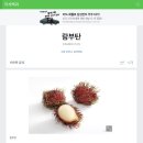 26470-01-21-424 | 사랑한다 내 라이즈 !!! 🧡