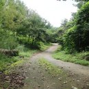 돌배나무집민박 이미지