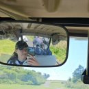 밀림아구탕 | [일주일기] 2025년 5월 1주차