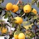 엘에스한방병원 이미지