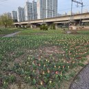 낙동강관리본부 화명생태공원 4 이미지