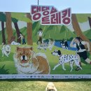 딸부잣집 | [강원/정선] 딸부잣집 댕댕트레킹 강아지동반 식당 후기