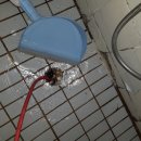 미아사거리 화장실 이미지