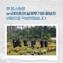 웰니스1004요양병원 | 웰니스1004병원장례식장 장례식 상주 완장 한 송이 국화처럼, 담담히 보내는 마지막 인사