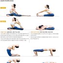 성삼연합의원 이미지