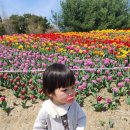 소두방공원 관리사무실 | 청주 문암생태공원 튤립 정원 및 바베큐장 후기