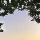 정원속화실담다