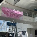 부산베이비페어 오픈런 방문후기(주차,위치,상품 등)