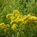 등산로집 이미지