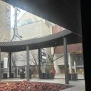[서울/신사] 도산공원 감성 카페 펠트커피 솔직 후기