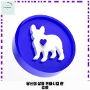 미성동-14 | 미성동 애견카페 아토커피 신림점 가격 및 후기 추천 리뷰 주차 예약 알아볼까요