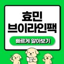 전참시 효민 손팩 브이라인팩 브랜드는? 보습용 장갑 핸드팩 브이라인 마스크팩 총정리